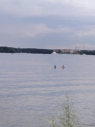 In the city of Туристический Пансионат «Клязьминское водохранилище», Russia, under a cloudy sky, two individuals are partially submerged in a body of water, appearing to be swimming or wading. In the background, a tree-lined shore is visible, with some buildings and construction cranes situated on the horizon. There are also several small boats on the water. A tall, thin plant is growing in the foreground.