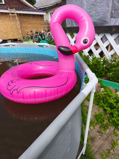 An inflatable pink flamingo float is pictured in a small, above-ground swimming pool filled with dark, murky water. The pool has a blue and white patterned liner visible around the top edge. The flamingo's neck is curved upwards, and its head faces to the right with a black beak and an eye. The body of the flamingo forms a ring float.
In the background, a wooden structure with a tiled roof is visible, along with some construction materials and gardening equipment, including a wooden ladder leaning against the building. There are also bicycles and other items in disarray. Green vegetation and a white lattice fence are present in the surrounding yard. The scene appears to be outdoors during the daytime, likely in a backyard or garden setting. The water in the pool seems stagnant, suggesting it might not be in use for swimming. There is no visible text in the image.
