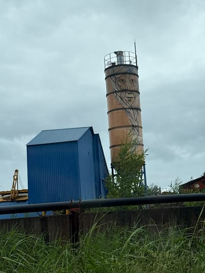 In Pikalyovo, Russia, a large cylindrical industrial silo, painted with a mural of a human face, stands tall against a cloudy sky. The mural depicts a face with prominent eyes, a nose, and a beard, rendered in brown and black lines. The silo is topped with a metal railing and what appears to be a ventilation pipe. Adjacent to the silo is a tall, blue, corrugated metal building with a sloped roof. In the foreground, tall green grass grows in front of a dark concrete wall. Behind the wall, a thick black pipe is supported by rusted metal structures. The scene suggests an industrial area, possibly a construction site or manufacturing facility. The overall atmosphere is overcast and industrial.
