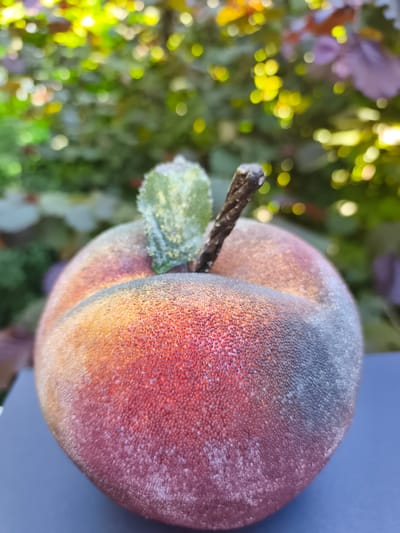 A close-up, eye-level shot focuses on a single, artificial peach resting on a dark blue surface. The peach exhibits a textured, velvety finish with a gradient of colors, ranging from yellow and orange on the top left to red and then a dark greyish-purple on the right. It is adorned with a small, green, artificial leaf and a brown, twig-like stem at its top. The peach appears to be dusted with tiny, reflective particles, giving it a slightly glittery appearance.

The background is softly blurred, suggesting an outdoor setting with lush green foliage and bright, out-of-focus yellow and purple highlights, indicative of sunlight filtering through leaves.

There are no people or animals present in the image, and no discernable action is taking place. The scene appears to be static and posed.

The specific location in Georgsmarienhütte, Germany, cannot be determined from the visual information provided in the image.
