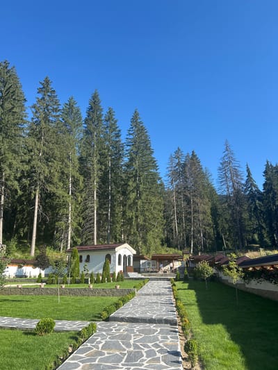 The image depicts a tranquil scene in Madzhare, Bulgaria, with a clear blue sky overhead. In the foreground, a winding pathway made of irregular gray stones leads through a manicured lawn. The pathway is bordered by neatly trimmed green hedges and small, potted plants.

To the left of the path, a small white building with a red-tiled roof stands prominently. This building features arched windows and decorative white plasterwork. A low stone wall extends from this building, also bordered by green grass and hedges.

Further down the path, on the right side, a series of covered seating areas with dark roofs and wooden supports are visible, adjacent to a white wall adorned with flowering vines. Small, young trees are planted in the grassy area to the right of the path.

The background is dominated by a dense forest of tall, green pine trees, with some older, sparser trees interspersed. The forest slopes upwards, creating a natural backdrop to the man-made structures. The lighting suggests it is a sunny day, casting distinct shadows on the grass. There are a few people visible in the background, near the covered seating areas, but they are not the primary focus of the image. The overall impression is one of peacefulness and natural beauty combined with religious or spiritual architecture.