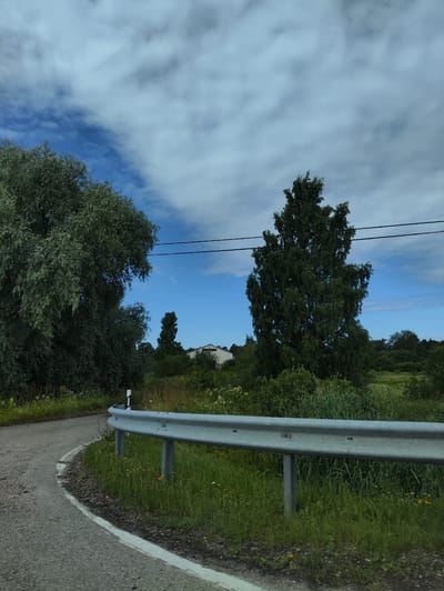 The image captures a rural road scene on a cloudy day in Salacgrīva, Latvia. A curved asphalt road, with a white line marking its edge, is bordered by a metal guardrail. To the left of the road, a large, leafy tree dominates the foreground, with its branches extending towards the sky. Beyond the guardrail, a field of green grass with scattered yellow wildflowers stretches into the distance. In the middle ground, a tall, dark green tree stands prominently, with a white building visible behind it. Several power lines are strung across the sky. The overall environment suggests a countryside setting with agricultural structures and natural vegetation.