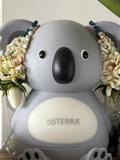 The image shows a close-up, frontal view of a grey koala-shaped diffuser. The diffuser has a large, oval-shaped white panel on its belly with the logo "dōTERRA" printed in grey text. The koala has two large, dark eyes and a prominent black nose.
Decorating the koala's ears are two floral arrangements. Each arrangement consists of dried, pale yellow and cream-colored flowers, small pearl-like beads, and some green leaves. One of the floral arrangements on the left ear has a small, unopened white rose bud at the bottom, with text printed in black on a white sticker in the background. The text appears to be a product label, with some words partially visible, including "MADE IN CHINA."
The koala diffuser is positioned on a surface that appears to be a shelf or table. To the right of the diffuser, parts of other objects are visible, including a glass bottle with a dark liquid and a thin wire, possibly part of a string of lights. The background is a plain, light-colored wall.
There are no people or animals present in the image. The image does not provide any information about the city of Bunbeg, Ireland, or its location within it.