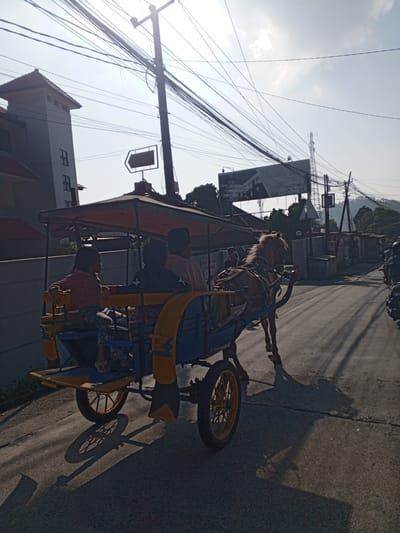 The image captures an outdoor scene in Weddagala, Sri Lanka, depicting a horse-drawn carriage transporting three individuals on a paved road under bright sunlight. The horse, a brown equine with a flowing mane, is positioned on the right side of the carriage, facing right and actively pulling it forward. The carriage itself is painted blue and yellow, featuring a canopy, and has two prominent spoked wheels visible on its left side. Within the carriage, a child in a red/pink shirt is seated on the left, looking away from the camera, while two other individuals, one largely silhouetted, occupy the rear seats.
The sun, positioned behind the viewer, casts long, distinct shadows of the carriage, horse, and a central utility pole across the asphalt road. This utility pole is heavily laden with numerous black electrical and communication cables crisscrossing the bright sky. To the left, a multi-story building with a red-tiled roof and a tower-like structure is partially visible. Further into the mid-ground, a large billboard with faint text, including what appears to be "SELAMAT D..." and a phone number, stands above the horse. Behind the billboard, a tall communications tower is discernible. The background features dense green foliage and hills, and additional utility poles and wires line the road into the distance, where faint outlines of other vehicles like motorcycles can be seen.