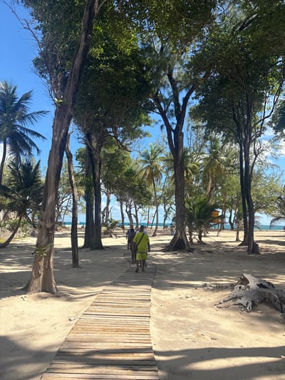 The image depicts a sandy path leading to a beach environment in Wellhouse, Barbados, under a clear blue sky with scattered white clouds. A wooden boardwalk extends from the foreground, receding into the midground, flanked by light-colored sand. Dense tropical vegetation, including numerous tall trees with broad green leaves and slender palm trees, frames the path and extends into the background, casting dappled shadows.
Two individuals are walking away from the camera on the wooden boardwalk. The foremost person is wearing a neon yellow short-sleeved shirt and matching shorts, with a dark bag or strap visible over their left shoulder. The second person, immediately behind, is partially obscured but appears to be wearing darker clothing.
To the right of the boardwalk in the midground, a large, weathered, light-colored tree trunk or piece of driftwood rests on the sand. In the distant background, beyond the trees, the turquoise ocean is visible. A prominent red flag is planted vertically on the sand near the waterline on the left side of the distant beach. Further to the right on the distant beach, a yellow, multi-level structure, possibly a lifeguard stand, is present. Several other indistinct figures are visible on the distant beach near the waterline.
