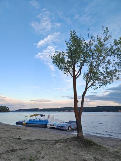 A tranquil scene unfolds on the sandy shore of a wide river, likely in Zelenodolsk, Russia. The sky above is a gentle canvas of soft blue, dotted with wispy white clouds, suggesting it is late afternoon or early evening. A lone tree with a slender, reddish-brown trunk stands prominently in the foreground, its leafy branches reaching towards the sky.
Along the water's edge, a collection of pedal boats are moored. Among them, a bright yellow and blue pedal boat with a canopy is visible. Next to it, a sleek blue pedal boat sits. Further along, several white pedal boats are lined up, two of which are shaped like swans, their elegant necks arched. A distinctive grey pedal boat designed to resemble a sports car, complete with racing stripes and a license plate, is also present. The boats are resting on the sandy beach, with gentle waves lapping at their hulls.
Across the river, the opposite bank is lined with rolling hills covered in dark green trees, creating a lush, natural backdrop. The water is calm, reflecting the soft hues of the sky. The overall mood is one of peacefulness and leisure, hinting at a warm, pleasant day by the water. There is no visible activity of people in this scene, but the presence of the pedal boats suggests a recreational area. The time of day appears to be during the "golden hour" before sunset, given the soft lighting.