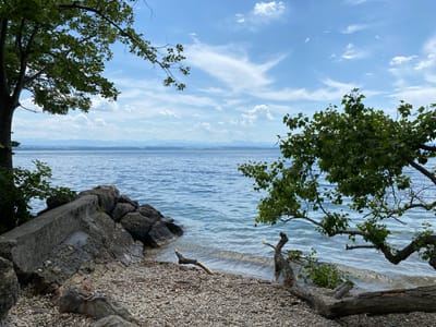 The image depicts a tranquil shoreline along Lake Neuchâtel in Cortaillod, Switzerland. The foreground features a pebble beach, with driftwood scattered along the waterline. To the left, a concrete structure and a cluster of rocks form a small embankment. The lake extends towards the horizon, where the faint silhouette of the Swiss Alps can be seen. A few wispy clouds are visible in the sky. Branches of trees frame the scene on either side, their leaves adding a touch of green to the composition.