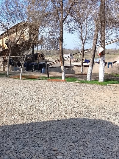 The image depicts an outdoor industrial scene located in Yangi Chinoz, Uzbekistan. In the foreground, a vast expanse of light-colored gravel covers the ground, with a distinct shadow casting diagonally across the lower right portion. The midground features several deciduous trees with bare branches, their lower trunks painted white. Between the gravel and the background elements, a narrow strip of green grass is visible, containing a low, brown wooden structure resembling a bench or platform.
The background primarily consists of a sand and gravel processing plant. To the left, a large, multi-story industrial structure with conveyors and machinery stands. Dark clothing items are hanging to dry from lines strung beneath this structure. Extending further right, large piles of sand and gravel dominate the landscape. Behind these piles, a body of water, possibly a quarry lake or river, is visible, reflecting the clear blue sky. Additional conveyor belts are present, some extending towards or across the water. More clothing, including blue garments, is hanging on lines strung between trees or poles near the water's edge. The sky above is clear and blue. No people are visible in the scene. The overall environment suggests an active aggregate extraction or processing site.