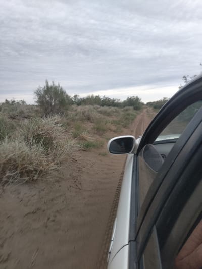 A silver car drives on a sandy dirt road in Kokzhide, Kazakhstan. The road is flanked by dry, scrubby vegetation and sparse trees under an overcast sky. The photograph is taken from inside the car, showing the side mirror reflecting a person holding a mobile phone. The tire tracks are visible on the road, indicating the car is in motion.