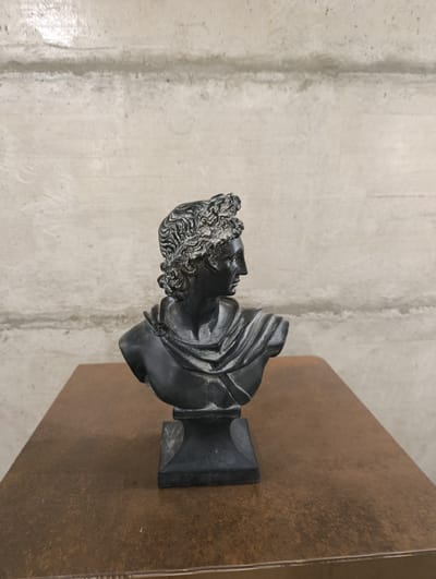 A dark-colored bust of a male figure, likely ancient Greek or Roman in style, is positioned on a textured brown surface. The bust, made of what appears to be dark stone or metal, depicts a young man with curly hair styled upwards, a serene profile, and a draped garment around his shoulders. The background is a concrete wall with horizontal lines and a slightly uneven texture, suggesting an indoor or sheltered setting. The lighting appears to be neutral, with no strong shadows, indicating ambient light rather than direct sunlight. The overall impression is one of classical art and enduring form. The scene is static, with no discernible activity. There is no visible text in the image. The context of Čavori, Montenegro, is noted, though no specific visual cues within the image directly point to this location.