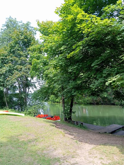 This is an outdoor, eye-level, full shot of a lakefront scene in Płaska, Poland on a sunny day. In the foreground, there is a grassy area with sandy patches. To the left, two kayaks are resting on the grass. Further back, on the edge of the water, are two bright red pedal boats. A wooden dock extends into the calm, green water from the right side of the frame. Lush green trees with dense foliage line the bank of the lake, with some branches extending over the water. The sky is bright and mostly clear, with a few wispy clouds visible through the tree canopy. The overall atmosphere is tranquil and inviting.