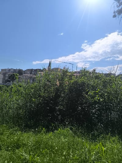 The image depicts a scene in Chézenas, France, characterized by a dense foreground of green grass and vegetation. Beyond the vegetation, a line of buildings forms the cityscape. A church spire and a construction crane are visible among the structures. The sky is predominantly blue with scattered clouds, and the sun is shining brightly.