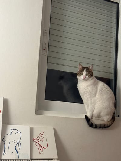 A white cat with tabby markings sits on the frame of a window with closed blinds. The cat looks down at the camera, its striped tail dangling off the edge. The window's latch is visible. To the right, two small canvases display simple line drawings, one in red and one in blue. The wall is painted white. The window is angled, creating a slightly distorted perspective.