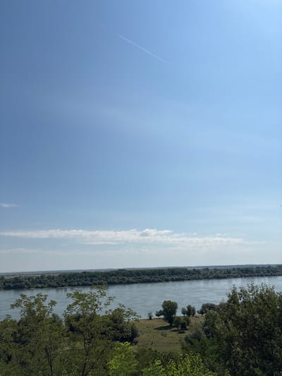 A wide, placid river flows horizontally across the frame, bordered by lush, dense green trees on both the near and far banks. The river's surface reflects the clear, pale blue sky, which occupies the upper two-thirds of the image. A faint contrail from an aircraft stretches diagonally across the sky. The foreground is dominated by the dark green foliage of trees and shrubs, suggesting an elevated viewpoint overlooking the river valley. The far bank features a line of trees, beyond which a flat, cultivated landscape is visible, stretching towards the horizon. The scene depicts a serene, natural environment under a bright, sunny sky. The location is identified as the Danube River, near the town of Stara Pazova Municipality, Serbia. There are no people or animals visible in the image.