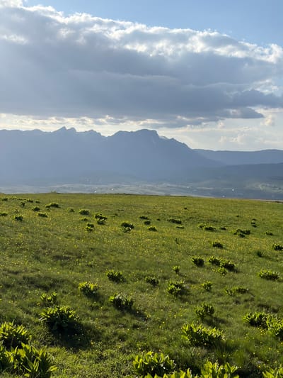 The image shows a meadow scene in Pišče, Montenegro. The meadow is green with scattered yellow flowers. Patches of denser, taller vegetation are interspersed throughout. In the background, a range of mountains is visible, partially obscured by clouds. The sky is blue with white clouds.