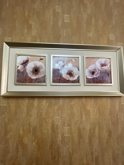A tall, rectangular, silver-framed picture hangs on a textured beige wall. The picture is composed of three stacked, smaller framed images, each depicting white flowers with dark centers. The wall has a repeating geometric pattern. The location and city of Akhalkalaki, Georgia, cannot be determined from the image.