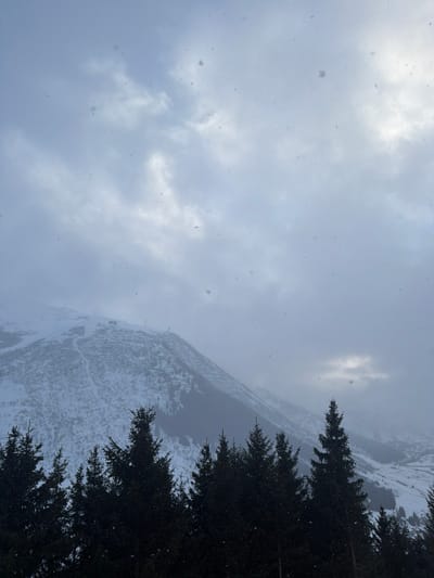 A snow-covered mountain rises against a cloudy sky. Tall, dark evergreens are silhouetted against the mountain's edge, partially obscuring the view. Snowfall is visible throughout the scene. The overall impression is of a cold, wintery landscape. The picture has been rotated counter-clockwise.