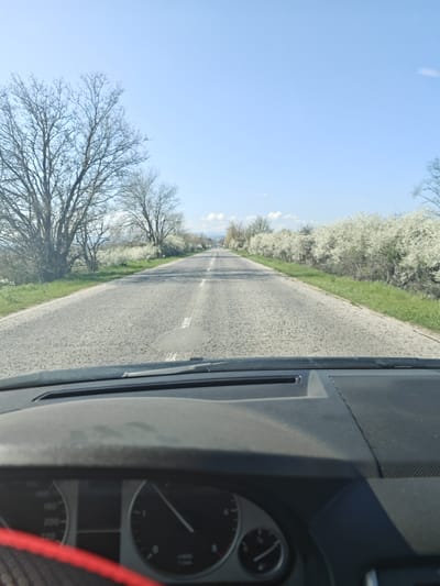 The image shows a view from inside a car traveling on a road. The road stretches straight ahead, lined on both sides with flowering trees, giving the impression of a rural area. The sky is clear and blue. The car's dashboard is visible, obscuring the bottom of the frame. Based on the information provided, this scene is located in the city of Ohoden, Bulgaria.
