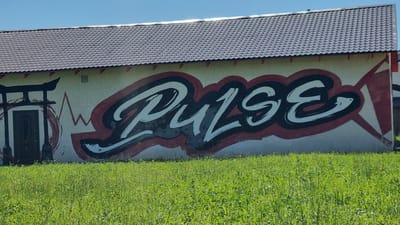 The image shows a building with graffiti on its exterior wall. The graffiti features the word "PULSE" in large, stylized white letters with black and red outlines. To the left of the graffiti, there is an illustration of a Japanese torii gate with a dark-colored door. A red, abstract waveform runs horizontally across the wall between the torii gate and the word "PULSE." The building has a dark, tiled roof and a light-colored wall. In front of the building, there is a field of green grass with scattered small yellow flowers. The sky is a clear, bright blue. This building is located in the city of Verzilovo, Russia.