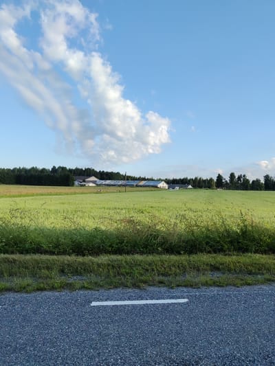 The image shows a rural scene on a clear day. In the foreground, there is a grey asphalt road with a white line painted on it. Beyond the road is a lush green field with tall grass and some scattered wildflowers. Further in the distance, a line of dark green trees forms a dense forest. Behind the trees, several farm buildings with white walls and dark roofs are visible. The sky is a bright blue with scattered white clouds, some of which are wispy and stretched across the sky. The overall impression is of a tranquil countryside landscape. The location is identified as Maetsma, Estonia.