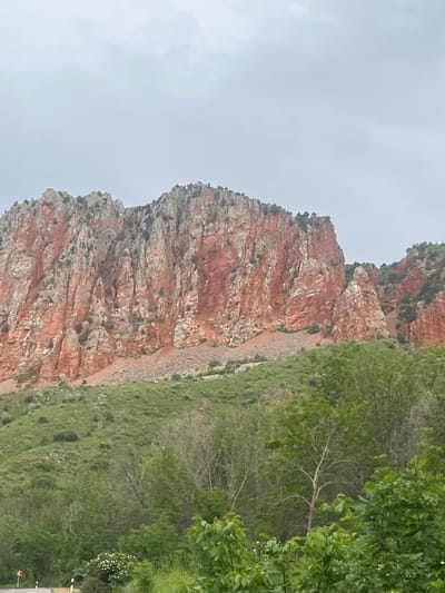 The image displays a mountainous landscape, identified as being in Arpi, Armenia, under a uniformly overcast, light grey sky that occupies approximately the top quarter of the frame. The central and upper-middle portions of the scene are dominated by a large, rugged mountain face characterized by prominent reddish-orange rock formations. This rock exhibits extensive vertical fracturing and erosion, presenting as a series of steep cliffs and ledges, with interspersed patches and streaks of greyish-white rock. At the base of the steepest rock sections, reddish-brown and grey scree slopes are visible, composed of loose rock fragments. Sparse dark green vegetation, consisting of shrubs or small trees, grows in crevices and on the more stable ledges of the mountain face, particularly in its upper reaches.
Below the red rock formations, a lush green hillside slopes gently towards the foreground, densely covered with vibrant green grass and low-lying vegetation. The immediate foreground, occupying the bottom quarter of the image, features dense, multi-shaded green foliage. Prominent broadleaf trees with bright green leaves are visible, alongside some lighter-toned trees with more exposed, sparsely leafed branches. Small white flowers are present among the foliage in the lower-left area.
In the bottom-left corner, a segment of a paved road with a solid white edge line is visible, curving sharply to the left. A red and white chevron road sign, indicating a sharp left curve, is partially present on the left side of the road, and small white rectangular road markers are situated along the right edge of the visible road section. No human or animal subjects are discernible within the frame.