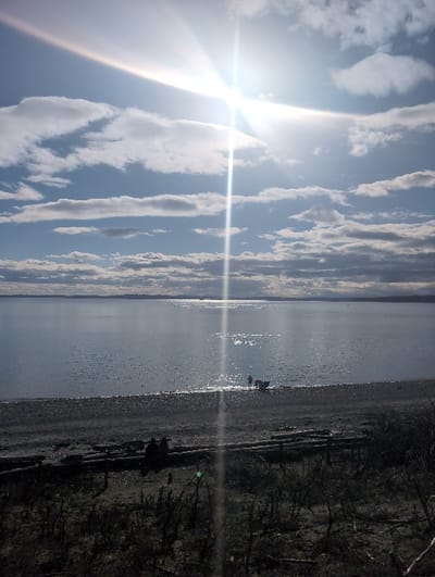The image depicts a coastal scene in Shoreline, Washington, United States, likely overlooking Puget Sound. The upper portion of the frame is dominated by a bright sun, positioned in the upper right quadrant, producing a prominent lens flare with a strong vertical light streak and a horizontal rainbow-like arc. The sky is partially cloudy, featuring scattered white cumulus and stratocumulus clouds against a light blue background, transitioning to darker tones towards the horizon.
A vast, calm body of water (Puget Sound) occupies the middle ground, reflecting the sun's glare as a sparkling path extending towards the viewer. Distant land or hills are visible as a dark band along the far horizon across the water.
A narrow strip of dark-toned gravel or pebble beach separates the water from the immediate foreground. At the waterline on the beach, to the right of the sun's reflection, two dark, silhouetted figures are present; one appears to be standing, facing the water, next to a second, smaller, indistinct dark shape.
The immediate foreground consists of an elevated, dark-toned bank covered with sparse, dry, or dormant vegetation, appearing as thin, dark stems and branches. Several dark, horizontal logs or pieces of driftwood are arrayed across this bank. Two additional dark, indistinct figures are discernible, seated on these logs.
The entire scene is heavily backlit by the sun, resulting in the silhouetting of foreground and mid-ground elements.