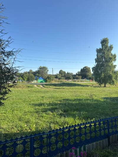 In Lysaya Gora, Russia, a sunlit, open grassy field dominates the scene under a clear blue sky. A dirt path meanders through the field, leading towards a cluster of buildings in the distance. Among these buildings, a vibrant green and blue structure stands out, bordered by a white picket fence. To the right of the field, a tall, leafy tree casts a shadow. In the foreground, a blue decorative metal fence runs horizontally across the bottom of the image, with a patch of pink flowers visible at the very bottom right corner. Overhead, power lines stretch across the sky, with two birds visible in flight. The overall impression is a peaceful, rural landscape on a bright day.