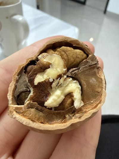 A close-up shot shows a person's hand holding a cracked-open walnut. The walnut's shell is a textured brown, and the kernel inside is light brown and cream-colored, with visible textures and folds. Some of the shell has broken away, revealing the nut's interior. In the blurred background, a white mug with a handle is visible, suggesting an indoor setting. The scene appears to be in a residential or casual environment, not specifically related to the city of Huizhou, China.