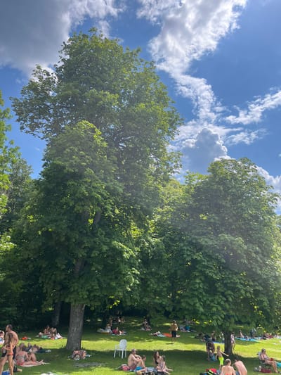 In Oberammergau, Germany, on a sunny day with scattered clouds, people are seen relaxing and sunbathing on a grassy area shaded by large trees. A group of individuals is scattered across the lawn, some lying on towels and blankets, while others are seated or standing. A few children are visible amongst the adults. The environment is a park or recreational area, with lush green grass and dense foliage from the trees providing shade. The overall scene depicts a leisurely outdoor gathering on a warm day.