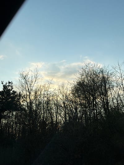 An outdoor scene captured in Itzig, Luxembourg, displays a dense treeline silhouetted against a twilight sky. The lower two-thirds of the image feature a dark mass of vegetation, primarily composed of numerous bare-branched deciduous trees, suggesting late autumn, winter, or early spring. A distinct coniferous tree is visible on the far left, partially obscuring the deciduous trees behind it. The upper third of the image reveals a sky that transitions from a pale blue at the top to a lighter, yellowish-white band along the horizon, indicative of a low sun either rising or setting behind the trees. Scattered, low-lying cumulus clouds are present in the middle portion of the sky, illuminated by the ambient light. A faint, crescent moon is discernible in the upper right quadrant of the sky. A dark, diagonal object, possibly part of a vehicle's interior or frame, intrudes into the top-left corner of the image. No individuals, actions, or specific interactions are depicted.