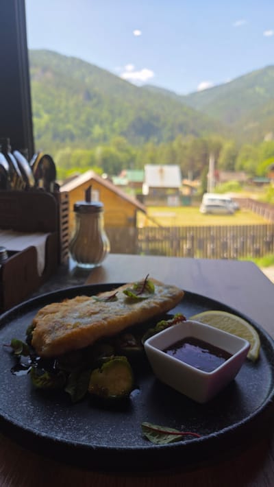 A close-up, horizontal shot shows a plate of food set against a blurred background of a mountainous landscape and buildings. The plate, dark and textured, holds a piece of breaded fish, some Brussels sprouts, and a small white dish filled with a dark sauce, accompanied by a lemon wedge. Small green and red leaves garnish the dish. To the left of the plate, a glass sugar dispenser is visible. The background suggests an outdoor setting, possibly a restaurant or cafe with a scenic view of lush green mountains and wooden structures. The lighting indicates it is daytime, with sunlight filtering through the window. The overall impression is one of a pleasant meal enjoyed with a beautiful natural backdrop.