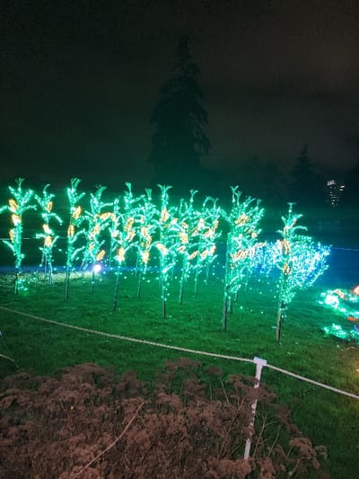 A row of illuminated trees, adorned with green and gold lights, line a grassy area beside a dark body of water that mirrors the trees. Adjacent to the grass, brown bushes are visible. A white object is visible in the grass, perhaps a path marker. The scene appears to be at night.