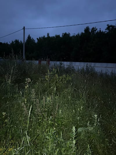 The image depicts an outdoor scene at dusk or night in Vrazheskoe, Russia. The foreground is dominated by tall, overgrown grass and various weeds, some of which are illuminated by an unseen light source, creating a spotlight effect. A pale grey metal fence runs horizontally across the middle ground, partially obscured by the vegetation. Behind the fence, a dark line of trees forms the backdrop. A utility pole with a single wire extending from it is visible on the left side, rising into the deep blue, cloudy sky. The overall impression is one of a wild, unkempt natural area near a fence line under a twilight sky. There are no people or animals visible in the image.