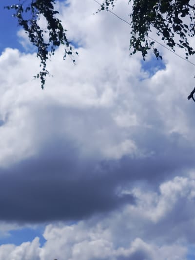 The image is a close-up shot of tree branches and leaves against a cloudy sky. The branches are dark and appear to be from a deciduous tree, possibly birch, given their delicate, drooping nature. Some leaves are visible, also dark and slightly blurred. In the background, fluffy white clouds are interspersed with patches of blue sky. A thin, dark cable is visible stretching diagonally across the upper portion of the image, disappearing behind the foliage on the right. The overall impression is of a natural scene, possibly taken outdoors in an area with trees. The location in Staraya Kupavna, Russia, is not discernible from the visual content of the image itself.