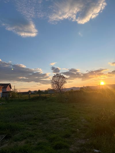 The image captures a sunset in Kalitinovo, Bulgaria. The sky transitions from a clear blue with scattered white clouds to a golden hue near the horizon where the sun is setting. A solitary tree stands against the sky, its branches bare. Below, a grassy field stretches towards the horizon, bathed in the warm light of the setting sun. In the foreground, the rooftops of a few buildings are visible. The image is taken with the camera rotated 90 degrees clockwise.