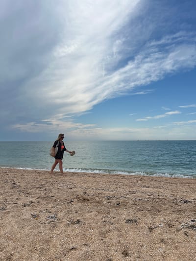 The image depicts a woman standing on a beach, facing the ocean. She is wearing a black cover-up over an orange swimsuit, sunglasses, and appears to be holding a hat. Her hair is blonde and she has a handbag slung over her shoulder. The woman is positioned on the sandy shore, with the calm, blue ocean stretching out before her. The sky is a vibrant blue, dotted with wispy white clouds.
The scene suggests a leisurely day at the beach, possibly during daylight hours given the brightness of the sky. The weather appears to be pleasant, with a gentle wave lapping at the shore, indicating calm conditions. The ground is a mix of sand and small shells, typical of a beach environment. In the distance, on the horizon, a series of slender vertical structures can be seen, which could be wind turbines or similar structures. The overall impression is one of tranquility and relaxation. There is no visible text in the image.