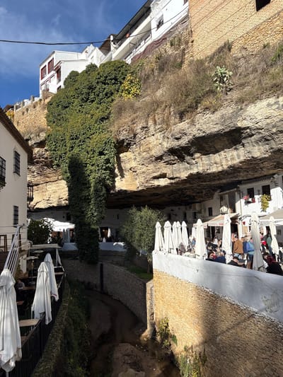 This image captures a street scene within Setenil De Las Bodegas, Spain, a town uniquely built into and under natural rock formations. The upper portion of the frame is dominated by a towering, rugged rock cliff with visible geological strata, primarily tan in color. Dense green ivy covers a significant section of the cliff face on the left, while sparse dry vegetation and a single prickly pear cactus are observed on the upper right rock face. White residential buildings with reddish-brown window frames are perched atop the cliff, against a clear blue sky with minimal cloud cover. A dark utility line traverses the upper sky.

Beneath a substantial natural rock overhang, which forms a deep, sheltered recess, whitewashed buildings house commercial establishments, likely restaurants. On the right side of the frame, a prominent outdoor dining area features approximately twelve white, uniformly folded patio umbrellas. Numerous individuals, estimated at twenty or more, are seated at tables in this area, engaged in dining and social interaction. This dining space is bordered by a low stone wall, topped with white plaster. On the left, another outdoor dining area, accessible by white stairs with a black metal railing, also displays several folded white umbrellas, with at least one individual visibly seated at a table.

A narrow, unpaved channel, consistent with a dry or low-water stream bed, runs through the center of the scene. This channel is contained by stone retaining walls on both sides, with some sparse green vegetation growing along their base. The scene is illuminated by strong, direct sunlight, creating distinct shadows, particularly on the left side of the central channel and under the massive rock overhang.