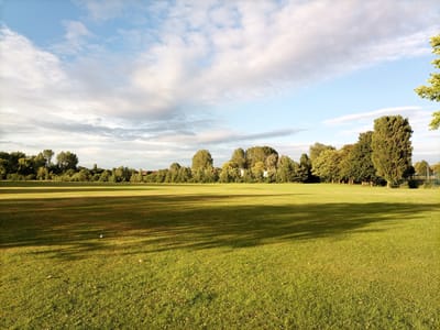 This is a wide-angle, eye-level photograph of a grassy parkland under a partly cloudy sky. The foreground consists of a large expanse of green grass, with some scattered clover flowers. Long shadows from unseen trees stretch across the grass from left to right. In the mid-ground, a line of trees forms a dense boundary, with a few buildings visible behind them. The sky is a mix of blue and white clouds, with the sunlight casting a warm glow on the scene. The location appears to be a public park, possibly Hartshead Park in Tameside, United Kingdom, given the presence of sports facilities and mature trees, which are characteristic of the area. There are no people or animals clearly visible in the frame, though there is a small white object that could be a bird or a piece of litter in the mid-ground.