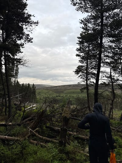 The image shows a person standing in a forest in Macclesfield Forest, United Kingdom, at the coordinates 53.26 latitude, -1.99 longitude. The person is wearing a black hooded jacket and black pants. They are standing in front of a backdrop of fallen tree trunks and branches, with green foliage and a view of the forest beyond. The sky is overcast with a light grey hue, creating a somber atmosphere. The person is looking towards the horizon, their face obscured by the hood. The forest is thick and dense, creating a sense of isolation and tranquility.