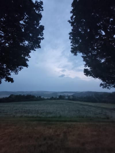 The image depicts a serene landscape, likely taken from a slightly elevated position, looking out over rolling hills. The foreground features a field of dry, golden-brown grass, transitioning to a darker green field beyond. In the mid-ground, a line of trees forms a dark, silhouetted border. Further in the distance, the landscape is characterized by undulating hills with hints of agricultural fields and scattered buildings, suggesting a rural setting. The sky is overcast with a pale, bluish-gray hue, with subtle variations in cloud cover. Two large, dark tree canopies frame the scene from the left and right sides, their leaves appearing dense and almost black against the muted sky. The overall impression is one of twilight or pre-dawn, with soft, diffused light and a sense of calm and natural beauty. The location is identified as being in the city of Berg, Germany, though no specific landmarks or urban features are visible to confirm this within the frame. No people or animals are present in the image.