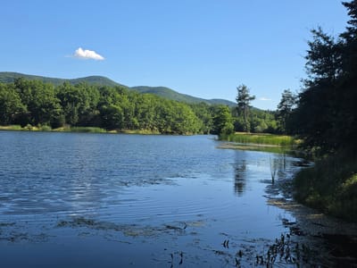 This image depicts a serene lake surrounded by lush green trees and rolling hills under a clear blue sky. A single, small white cloud drifts lazily in the sky. The water is calm, with gentle ripples on its surface, and patches of aquatic vegetation are visible near the shore. The trees are dense and appear to be deciduous, suggesting a warm season, likely summer. The hills in the background are covered in the same vibrant greenery, creating a sense of depth and natural beauty.
The scene appears to be a natural landscape, possibly a park or a nature reserve. The lighting suggests it is daytime, with the sun high in the sky, casting a bright, even light on the scene. The overall mood is peaceful and tranquil, inviting a sense of calm. There are no people or specific objects that stand out, emphasizing the untouched nature of the location. The image captures a moment of stillness and natural beauty in what appears to be a rural or natural setting. The location context provided is Osetenovo, Bulgaria.