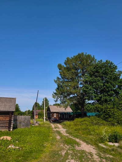 The image depicts a rural scene in Zhukovo, Russia, characterized by traditional wooden houses, a well, and lush greenery under a clear blue sky. In the foreground, a dirt path winds through a grassy area. To the left, a rustic wooden house with a corrugated roof is visible, adjacent to a wooden fence. Further into the scene, a traditional well with a wooden bucket and a long pole stands in front of another wooden building. Beyond this, a larger wooden house with multiple windows and a dark roof is situated. Two tall evergreen trees dominate the mid-ground, with one appearing to be a spruce and the other a deciduous tree with a fuller canopy. The background consists of a dense line of trees and vegetation, with a visible utility pole and wires. A dark-colored car is parked in front of one of the houses. The overall impression is one of a quiet, idyllic village setting on a sunny day.