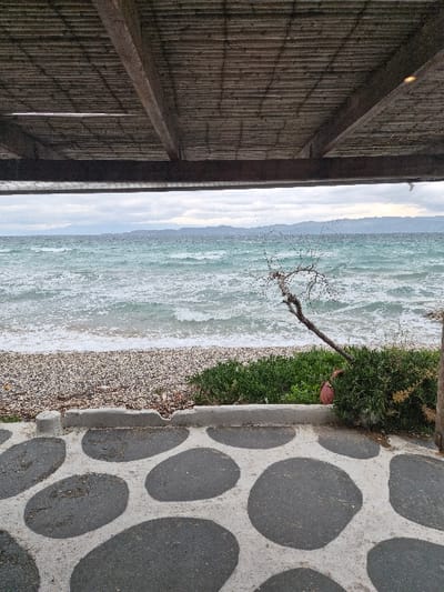 The image displays an exterior scene from the Municipal Unit of Assos - Lechaio, Greece, showing a view towards a choppy sea under an overcast sky. In the foreground, a concrete patio features large, irregular, dark gray stone shapes embedded in a lighter gray cement matrix. A low, light gray concrete curb with a small indentation separates the patio from the immediate environment. Beyond this curb, a strip of low-lying green vegetation is present. A gnarled, leafless woody branch or small tree extends from the right side of the frame, leaning towards the water. The beach consists of light-colored pebbles and small stones. The sea, likely the Gulf of Corinth, exhibits moderate waves breaking on the shore, with turquoise and gray-green water colors. In the distant background, a landmass with low hills is visible across the water under a uniformly cloudy, gray sky. The upper portion of the image is dominated by a wooden overhead structure, appearing to be a roof or canopy, composed of horizontal wooden slats or reeds supported by heavier dark wooden beams. No individuals are present in the scene.