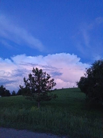 The image depicts a twilight scene of a rural landscape, likely in or around Sadovyi, Russia, given the provided context. A prominent evergreen tree stands in the middle ground, silhouetted against a sky transitioning from deep blue to lighter hues near the horizon. Wispy clouds, illuminated by the setting sun with hints of pink and white, stretch across the sky. The foreground features tall, dark green grass and a gravel path. The background shows rolling hills covered in more grass, with several small trees scattered on the highest points. On the right side of the image, a dense dark tree line partially obscures the horizon. No people or animals are visible in the frame. The overall impression is one of a serene, natural setting during the transition from day to night.