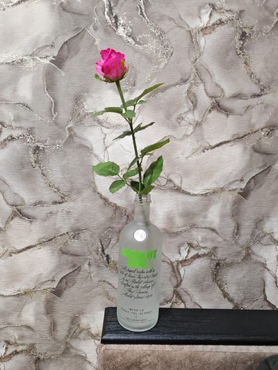 A single pink rose is placed in an empty Absolut vodka bottle. The bottle is frosted glass and has a green label with white text. The bottle is standing on a dark wooden shelf, in front of a textured wallpaper with a wavy pattern and silver accents. The rose has a long green stem with several leaves and a single bloom. The background is a wall with a textured wallpaper featuring a pattern of wavy lines and abstract silver streaks. The lighting is even, and the image is taken from a slightly low angle, looking up at the rose and bottle. There are no people in the image. The location is not specified in the image itself, and therefore cannot be determined.