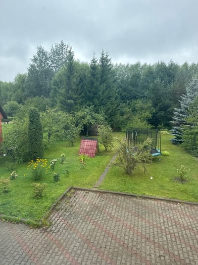 The image depicts a backyard scene under an overcast sky, likely in a residential area. The foreground features a paved area with interlocking bricks in red and grey tones. Adjacent to the pavement is a well-maintained lawn dotted with various plants, including rose bushes and a patch of yellow flowers. A pathway made of concrete slabs runs through the grass, leading towards the back of the yard.

In the middle ground, a small red structure with a peaked roof resembling a mini-shed or playhouse is situated on the lawn. Further back, a trampoline with a safety net stands on the grass. The background is dominated by a dense line of mature trees, primarily evergreens and deciduous varieties, creating a natural border. A portion of a brick house with a dark roof is visible on the far left edge of the image. The overall impression is one of a private, somewhat overgrown, but functional outdoor space. The sky is a uniform grey, suggesting possibly cloudy or rainy weather. There are no people visible in the image.