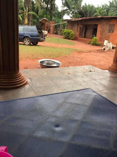 The image depicts an outdoor scene in Otukpa, Nigeria. A blue car with its trunk open is parked on a dirt lot with patchy grass. Adjacent to the car is a large metal bowl. A mud brick building with a barred window and open door is in the background. A white goat stands in front of the building. The foreground features a section of a blue table and parts of a brown, fluted pillar. The scene appears to be shot from an elevated, sheltered position.