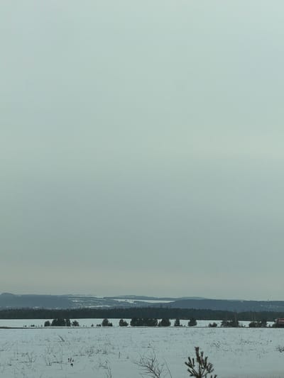 The scene depicts a snow-covered winter landscape in Povarenki, Russia, under an overcast sky. The foreground features a vast field blanketed in white snow, with sparse, dry brown vegetation and a small coniferous sapling emerging from the snow in the lower-right. A horizontal line of coniferous trees runs across the midground, suggesting a border for a road or railway line that is mostly obscured, though a red vehicle, possibly a truck or train car with white lettering, is partially visible on the far right. Behind this tree line, a dense dark green forest stretches across the frame. The background shows multiple undulating layers of distant hills or low mountains, appearing in shades of blue-grey, with scattered patches of snow on their slopes. The sky is uniformly light grey, indicating an overcast condition, and occupies approximately the upper two-thirds of the image, merging with the distant horizon. No discernible human or animal figures are present.