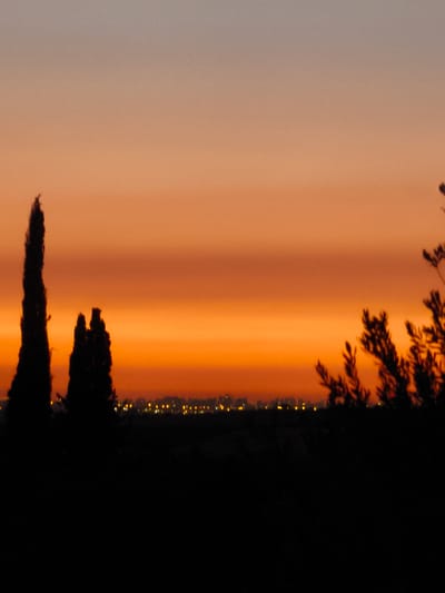 This image depicts a sunset or dusk scene in Shaalvim, Israel, characterized by a dramatic, gradient sky and a silhouetted landscape. The upper sky displays a soft grey-purple transition to a warm peach-orange, which intensifies to a vibrant orange-red horizontal band across the mid-section. Towards the lower sky, the color darkens to a deep reddish-orange. The foreground is rendered in complete silhouette, revealing two tall, slender, conical trees on the left, consistent with cypress trees. On the right, a darker, broader silhouette of a leafy tree or bush with distinct branches is visible. Below these silhouettes, the immediate ground is indistinguishable due to underexposure. Along the distant horizon, a blurred string of small, warm yellow and orange lights indicates a distant urban or residential area. No people or overt actions are discernible within the frame. The overall environment suggests a transition from a natural or rural foreground to a more developed distant landscape under twilight conditions. The image exhibits visible digital noise, particularly in the sky.