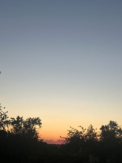 The image depicts a serene natural scene, likely captured at dusk or dawn. The sky transitions from a soft, pale blue on the left to a warm, golden-orange hue on the right, suggesting the presence of a setting or rising sun. Silhouetted against this colorful sky are the dark shapes of trees and foliage that dominate the right side of the frame. The trees appear lush and full, with intricate branches reaching upwards. In the distance, a faint outline of hills or a treeline is visible, further emphasizing the natural landscape. The overall mood is peaceful and tranquil, evoking a sense of calm. There is no visible text in the image. The orientation of the image is such that the sky is at the top and the landscape is at the bottom, with the transition between the sky colors occurring in the middle.